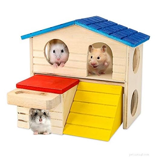 7 Essential Items Every Hamster Owner Needs