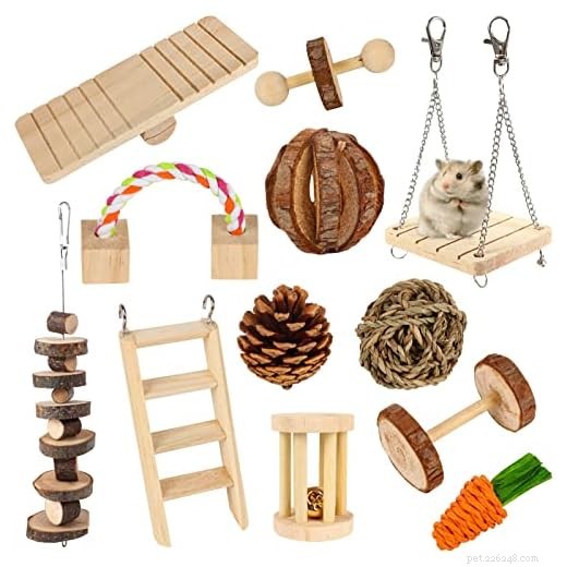7 Essential Items Every Hamster Owner Needs