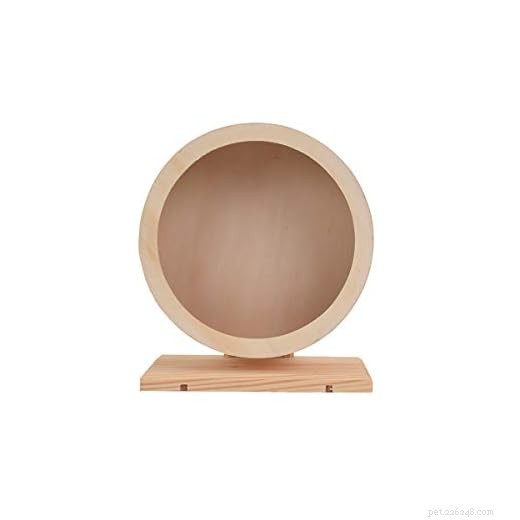 Do Gerbils Need a Wheel? Choosing the Right Exercise Wheel for Your Pet