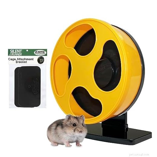 Top 5 Gerbil Toys: Expert‑Reviewed Chew, Hideout, Wheel, Tunnel, and Maze for Healthy Play