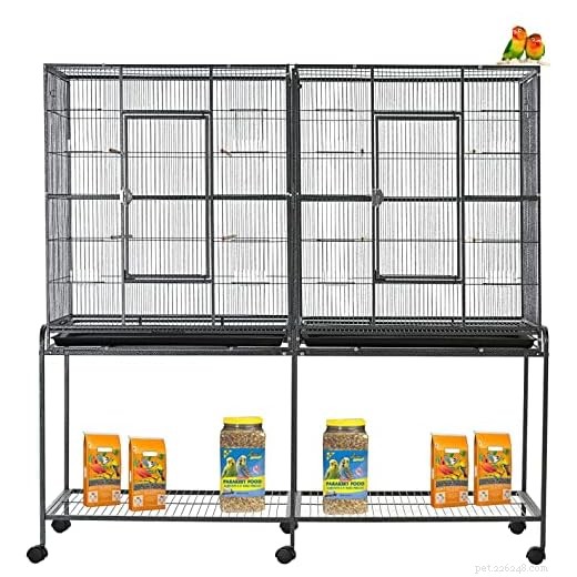Top Bird Cages 2026: Stylish, Spacious, and Built to Last