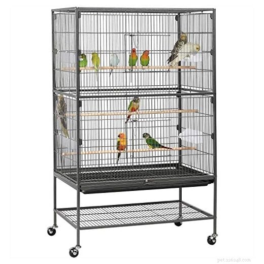 Top Bird Cages 2026: Stylish, Spacious, and Built to Last