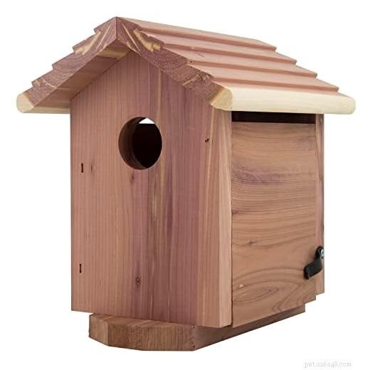Top Birdhouses for Your Garden: Expert Picks & Decorating Ideas