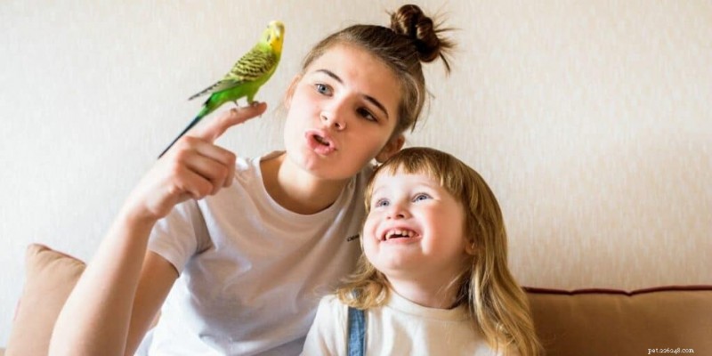 Top 5 Family‑Friendly Parrots: Choosing the Perfect Feathered Companion