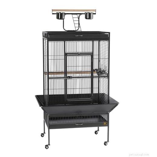 Top 3 Macaw Parrot Cages – Our Expert Picks