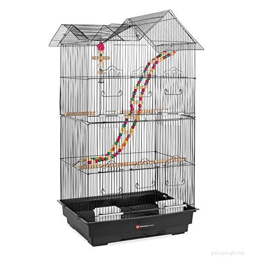 How Many Finches Can You Keep in One Cage? A Practical Guide for Responsible Owners
