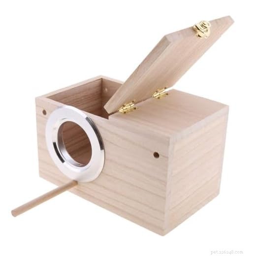 Why Parakeets Need a Nest Box: Expert Care Tips for Housing, Rest, and Breeding
