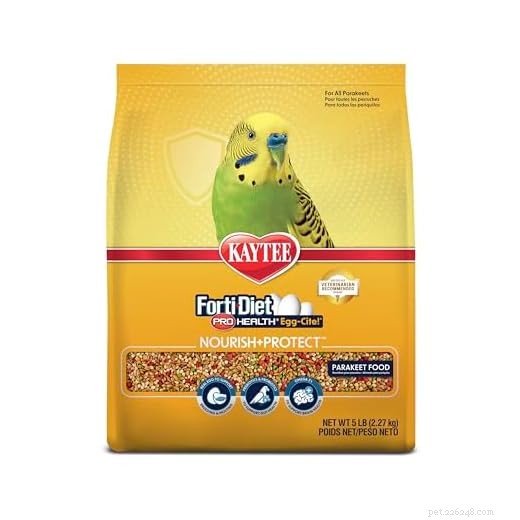 Do Budgies and Cockatiels Share a Common Diet? What to Know About Food Safety