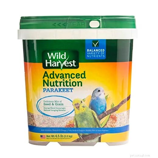 How Long Do Budgies Live? Expert Guide to Their Lifespan & Care