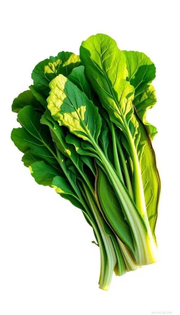 Are Mustard Greens Safe for Guinea Pigs? A Vet‑Approved Guide