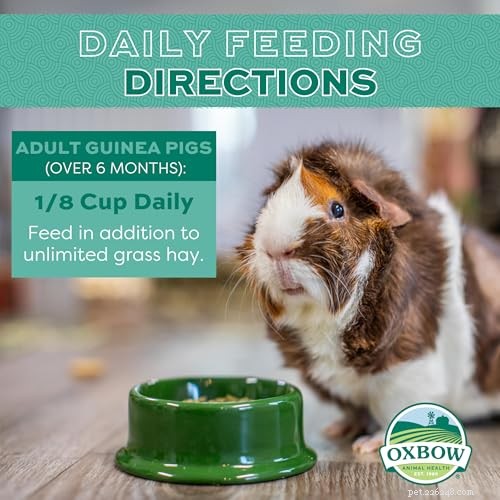 Oxbow Essentials Adult Guinea Pig Food: Expert‑Recommended Nutrition for Happy, Healthy Pigs