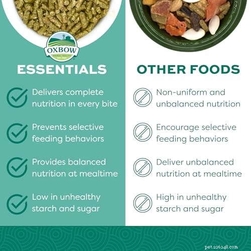 Oxbow Essentials Adult Guinea Pig Food: Expert‑Recommended Nutrition for Happy, Healthy Pigs