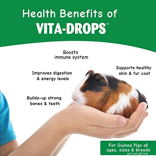 OASIS #80061 Guinea Pig Vita Drop Review – Boost Your Pet’s Health with Targeted Vitamin C