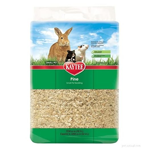 Top 7 Bedding Options for Guinea Pig Comfort and Health