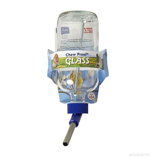 Top 10 Water Bottles for Guinea Pigs: Expert Guide to Hydration