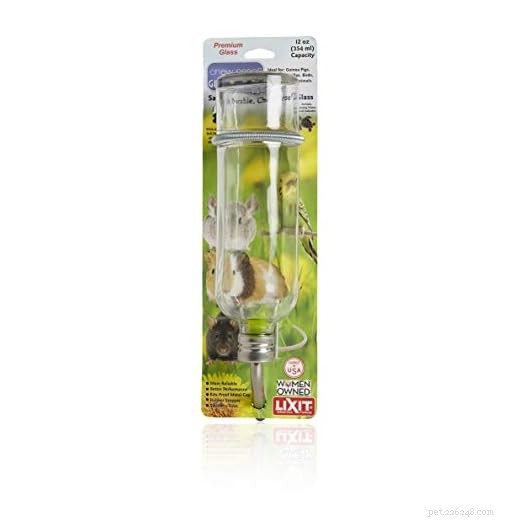 Top 10 Water Bottles for Guinea Pigs: Expert Guide to Hydration