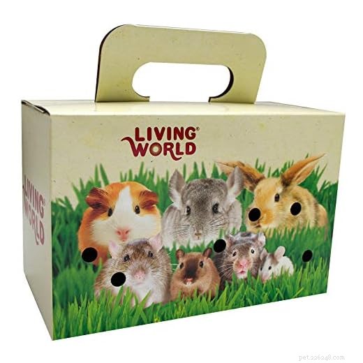 Top 5 Guinea Pig Carriers – Expert Review & Buying Guide (2026)