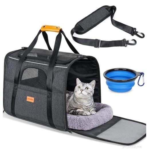 Top 5 Guinea Pig Carriers – Expert Review & Buying Guide (2026)