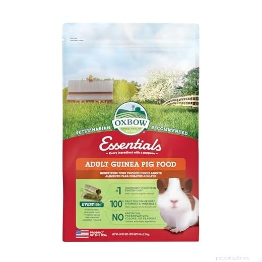 Top 5 Guinea Pig Pellets for Optimal Health