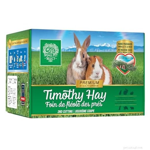 Top 5 Guinea Pig Pellets for Optimal Health