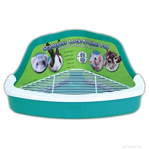 Choosing the Right Bedding for Your Guinea Pig Litter Box