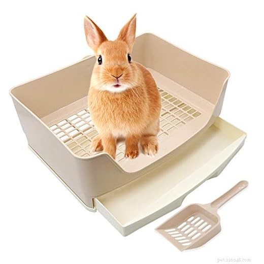 Choosing the Right Bedding for Your Guinea Pig Litter Box