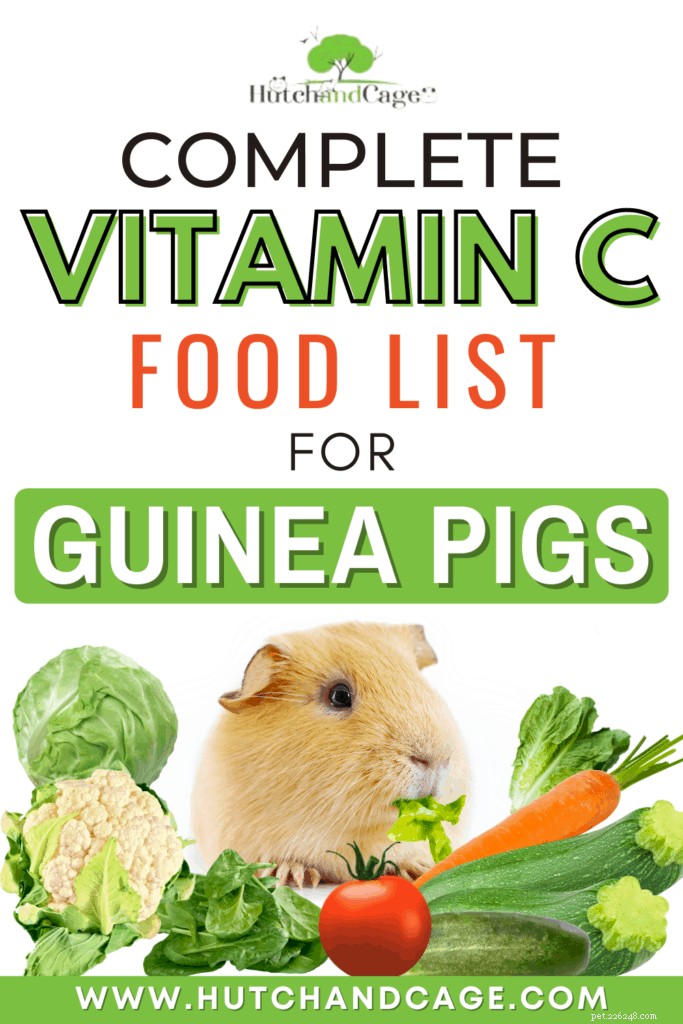 The Ultimate Guide to Vitamin C for Guinea Pigs: Foods, Portions, and Safety Tips