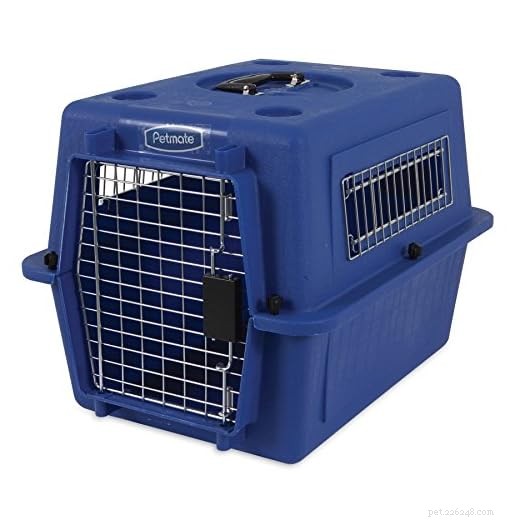 Choosing the Best Transport for Your Guinea Pig: Carrier vs. Cardboard Box