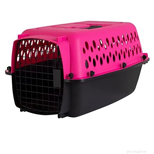 Choosing the Best Transport for Your Guinea Pig: Carrier vs. Cardboard Box