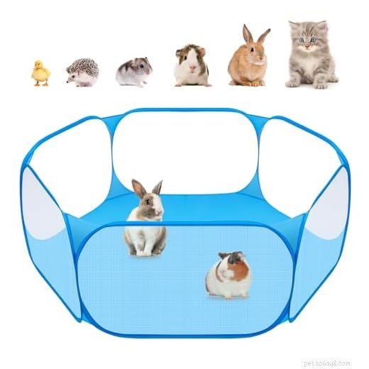 The Ultimate Guide to Choosing the Best Outdoor Guinea Pig Run