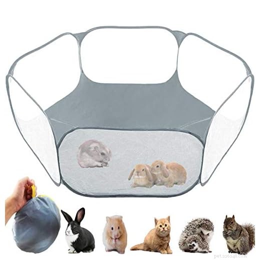 The Ultimate Guide to Choosing the Best Outdoor Guinea Pig Run
