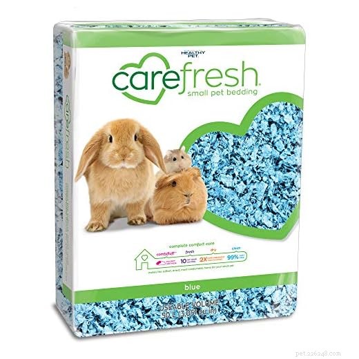 Are Guinea Pigs Susceptible to Cold? Understanding Temperature Limits and Care