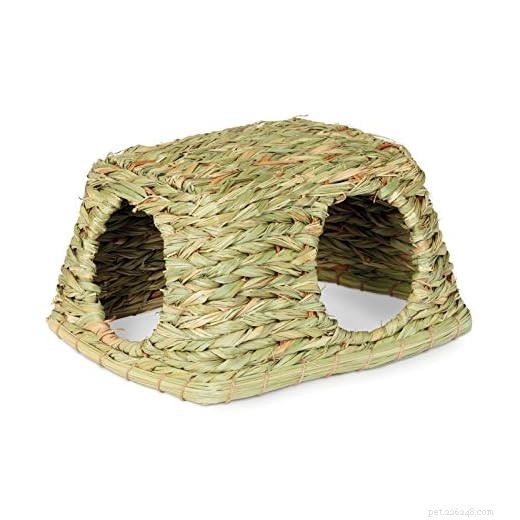 Are Guinea Pigs Susceptible to Cold? Understanding Temperature Limits and Care