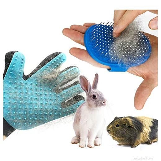 Do Guinea Pigs Shed? Expert Guide to Reducing Shedding and Keeping Your Pet Healthy