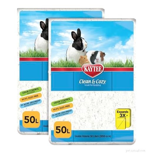 Do Guinea Pigs Smell? Expert Tips to Keep Your Pet Fresh and Healthy