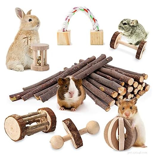 Keep Your Guinea Pig Engaged: Proven Ways to Prevent Boredom