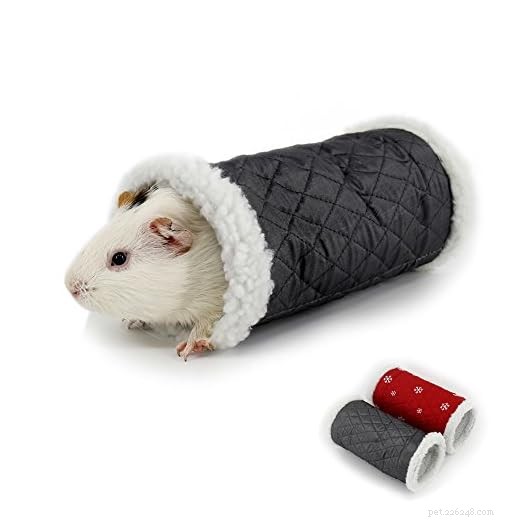 Keep Your Guinea Pig Engaged: Proven Ways to Prevent Boredom