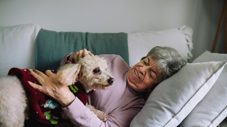 Grandpa’s Healing Companion: How a New Puppy Became His ‘Shadow’ After Knee Surgery