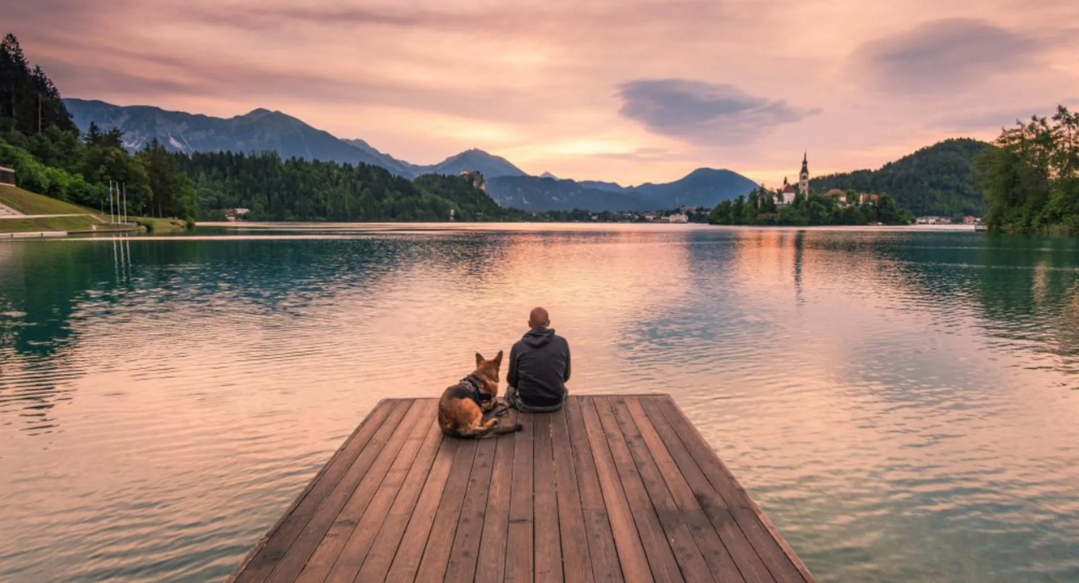 Supporting Pet Owners Through Grief: Compassionate Guidance from Wheaton Animal Hospital