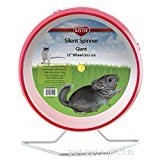 Essential Guide to Caring for Pet Rats