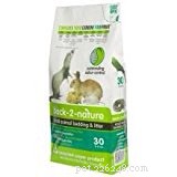 Essential Guide to Caring for Pet Rats