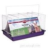 Essential Guide to Caring for Pet Rats