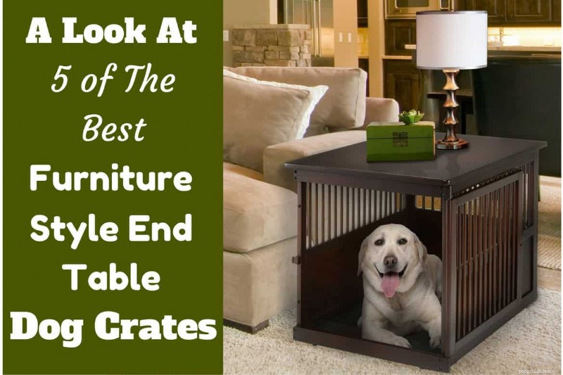 Top 5 Designer Dog Crates That Double as Stylish End Tables