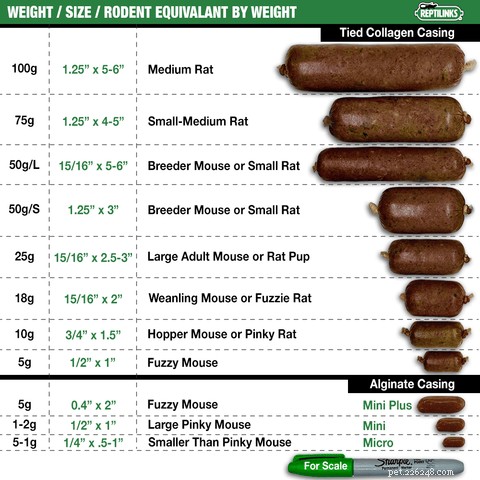 Choosing the Correct Food Size for Reptiles: A Practical Guide