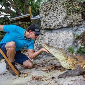 Can Reptiles Be Trained? Insights from Leading Reptile Training Professionals