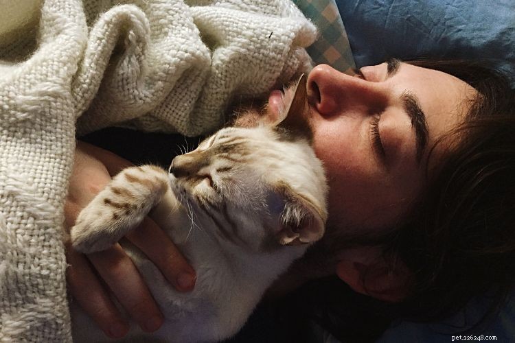 10 Proven Ways Cats Intuitively Understand Your Life – Expert Insights