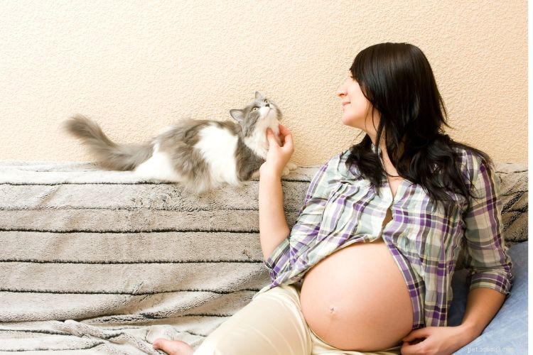 10 Proven Ways Cats Intuitively Understand Your Life – Expert Insights