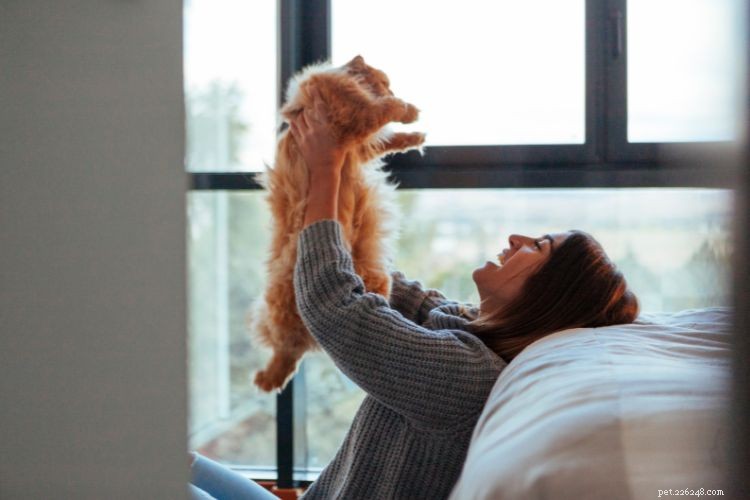 10 Cat Behaviors That Only Owners Truly Understand