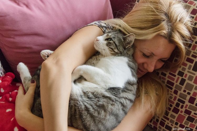 10 Cat Behaviors That Only Owners Truly Understand