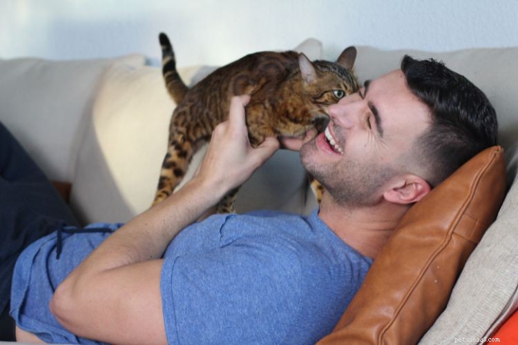 10 Clear Signs Your Cat Trusts You as a Protector
